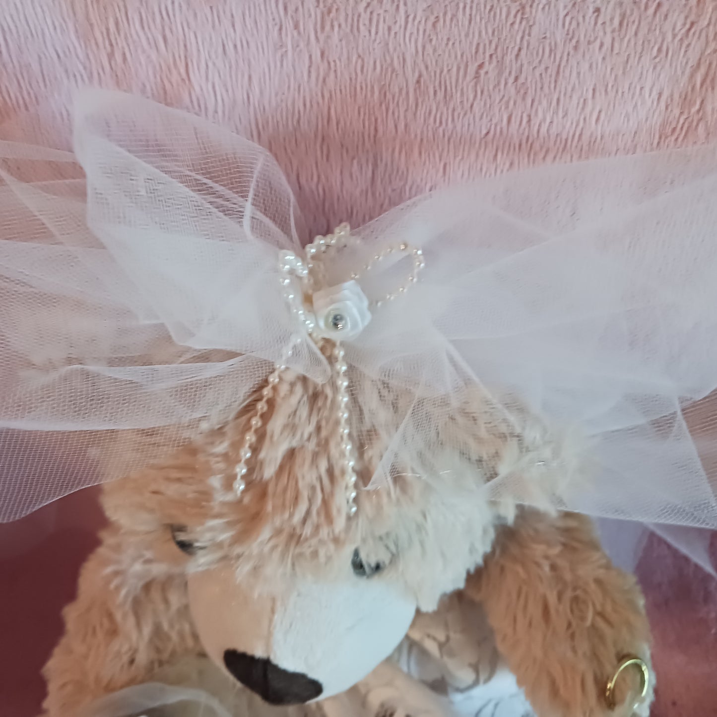 Our Bride