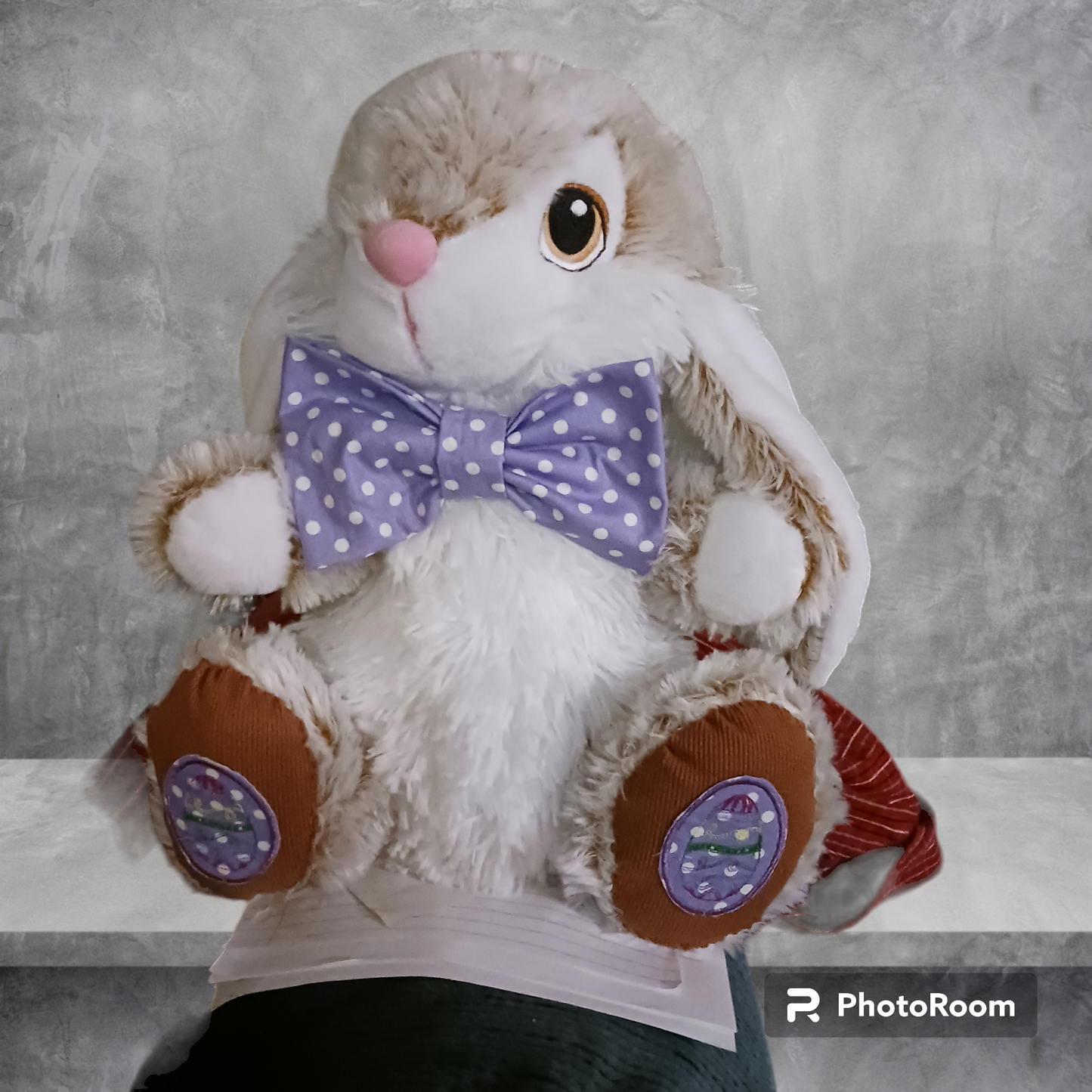 Bashful Bunny