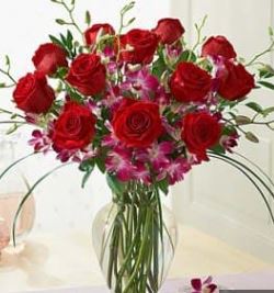 Roses