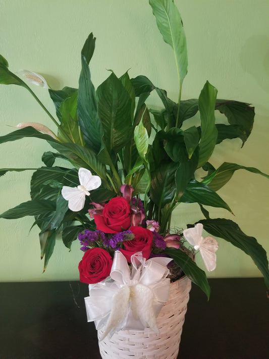 Peace lily with flowers