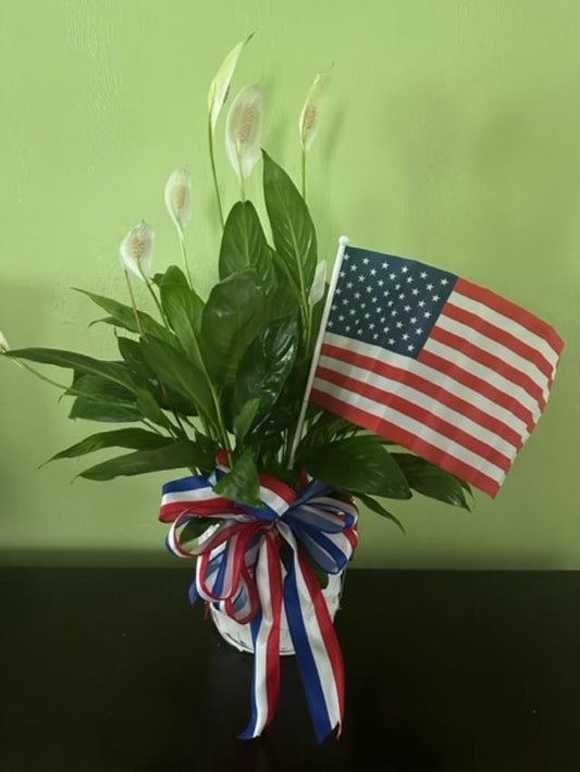 Peace Lily with Flag