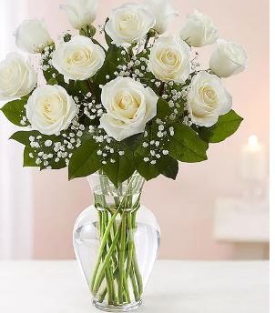 White Rose Purity